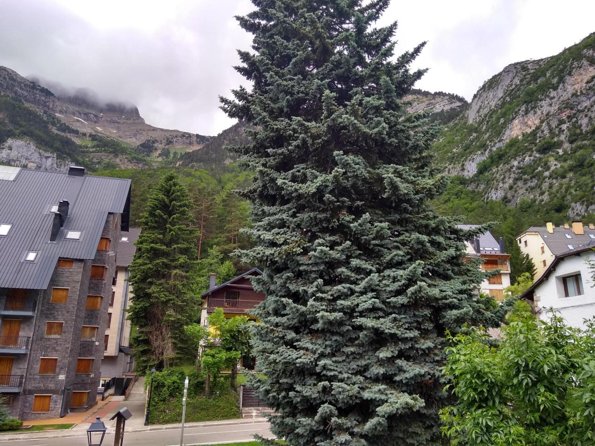 Marraquita Avairent Estacion Canfranc